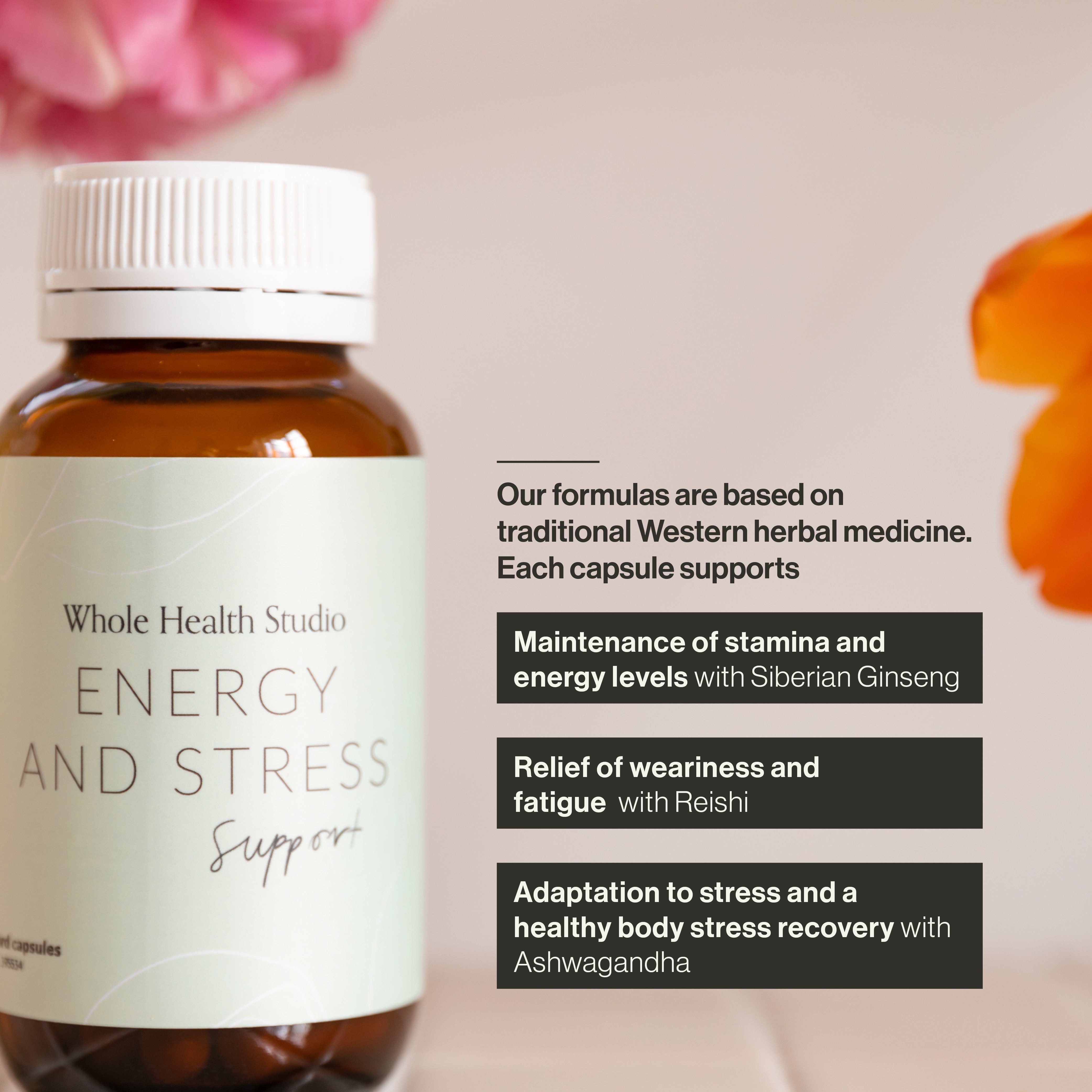 Energy and Stress Support