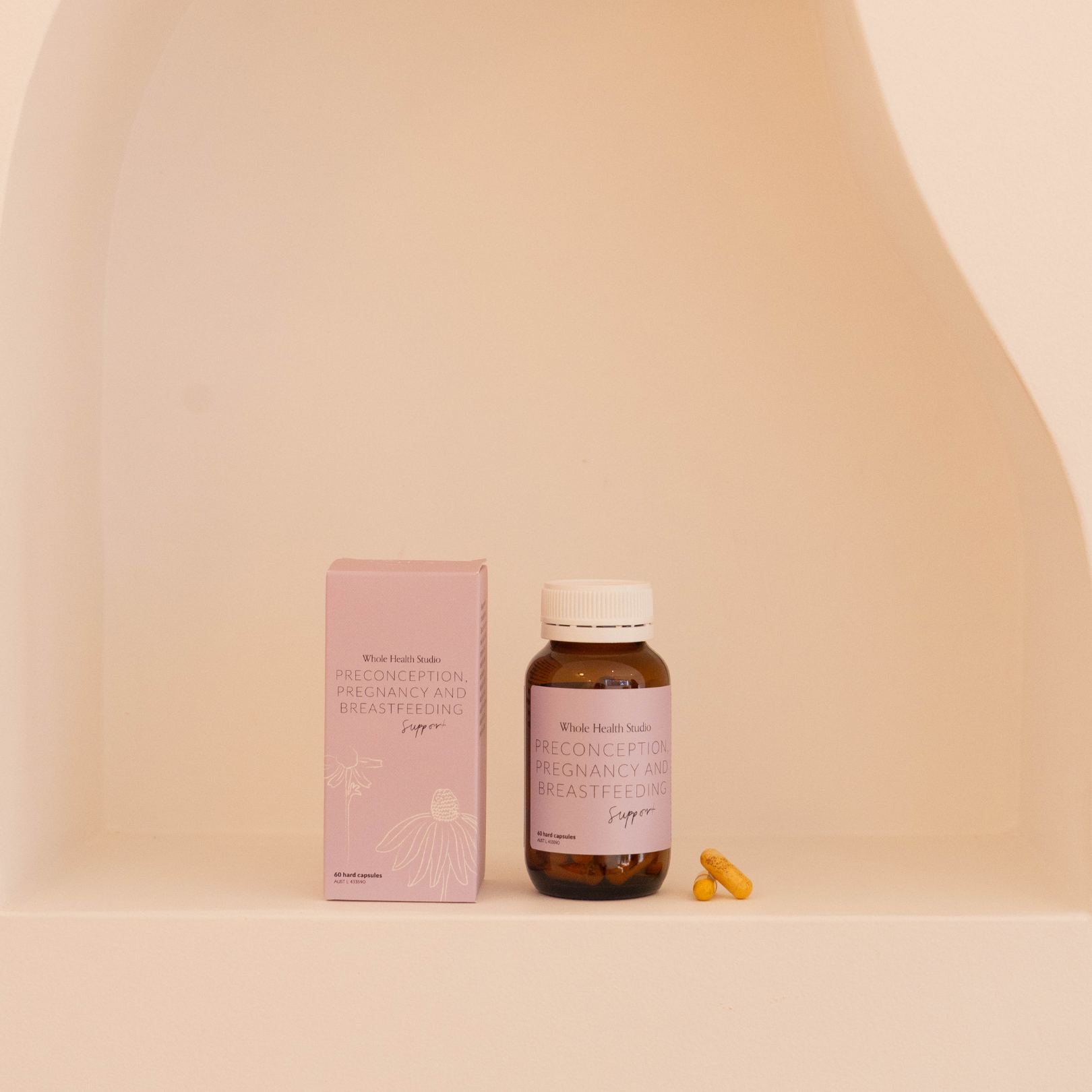Preconception, Pregnancy and Breastfeeding Support