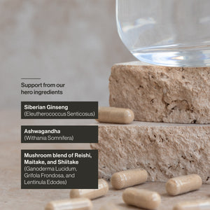 Energy and Stress Support WS