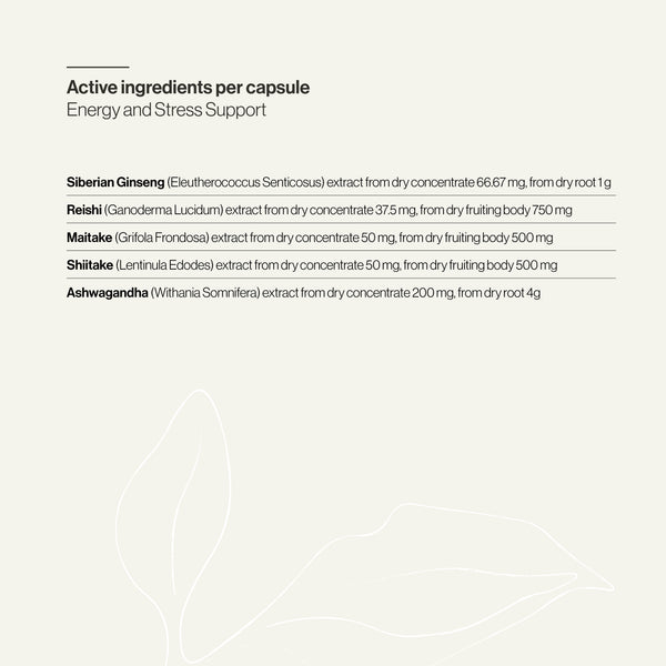 Energy and Stress Support WS