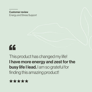 Energy and Stress Support WS