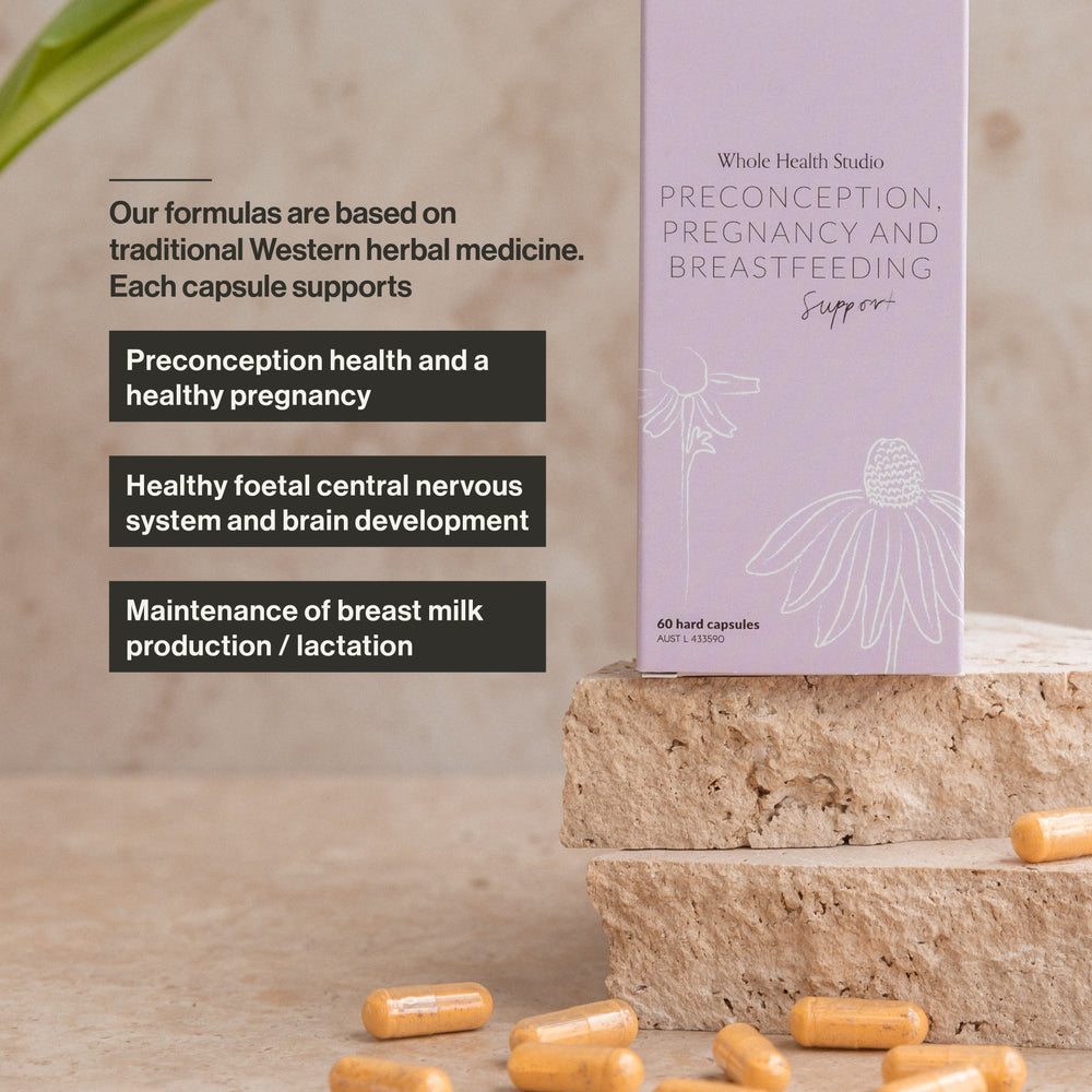 Preconception, Pregnancy and Breastfeeding Support WS