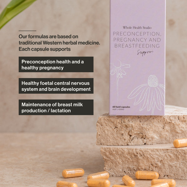 Preconception, Pregnancy and Breastfeeding Support WS