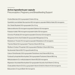 Preconception, Pregnancy and Breastfeeding Support WS