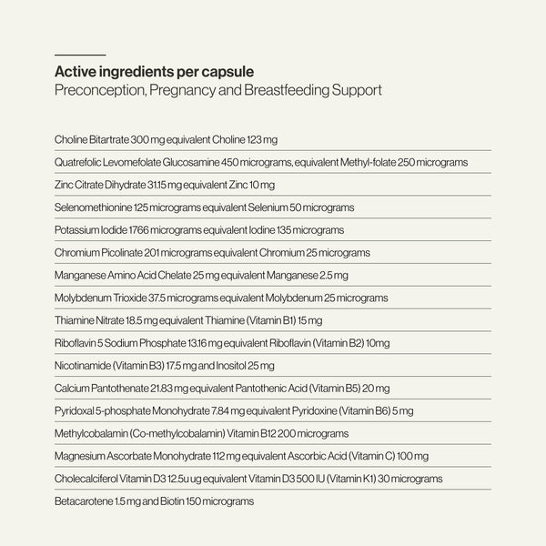 Preconception, Pregnancy and Breastfeeding Support WS