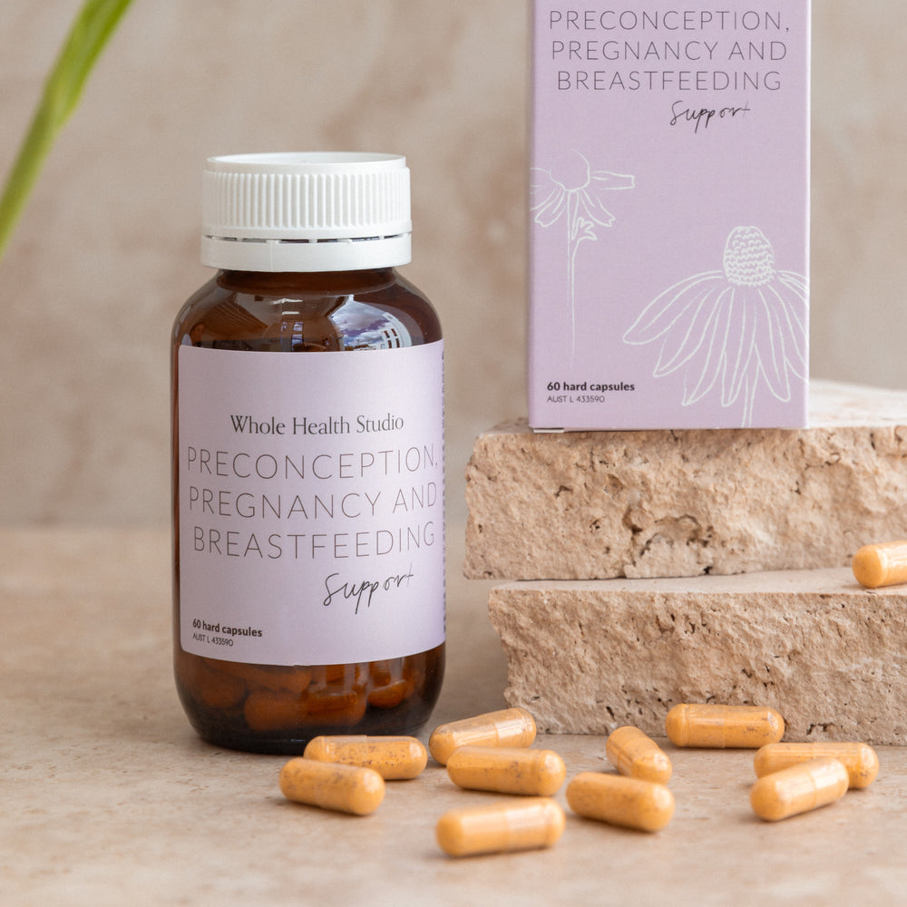 Preconception, Pregnancy and Breastfeeding Support WS