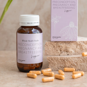 Preconception, Pregnancy and Breastfeeding Support WS
