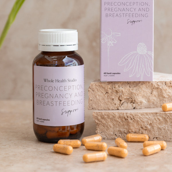 Preconception, Pregnancy and Breastfeeding Support WS